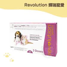 輝瑞(貓用)寵愛6號-(0.25ML*3入)(網路不販售) | 寵物好事．貓の專門店