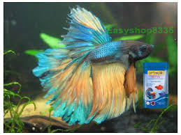 2 99 Optimum Betta Food 20g High Nutritious For All Betta Fish Ebay Home Garden Betta Betta Food Betta Fish
