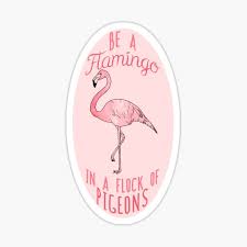 See more of trang trần _ npp flamingo việt nam on facebook. Pink Flamingo Gifts Merchandise Redbubble