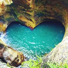 Gold Coast Queensland Australia Tram Lekim Heart In Nature Nature Amazing Nature