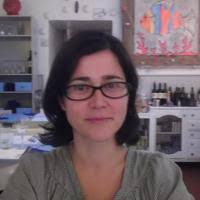 PDF) Interdisciplinary Studies