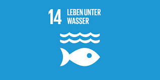 Maybe you would like to learn more about one of these? Sdg 14 Leben Unter Wasser Bmz