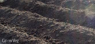 What kind of soil for vegetable garden. Understanding Soil Types For Vegetable Gardens