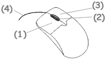 Learn how to draw a mouse, and a super cute one at that. Question Bank For 1st Class Computers Science Mouse And Keyboard Usage Computer Mouse Studyadda Com