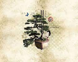 Green Bonsai Plant Japanese Garden Chopstick Tree Nature Hd Wallpaper Origin And History In Densely Populated Countries Such As Japan Where Free Kebun