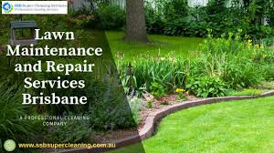 Lawn Maintenance And Repair Services Brisbane Brisbane Lawn Maintenance Repai Brisbanebrisbane Lawn Maintenanc In 2020 Garden Maintenance Lawn Maintenance Lawn