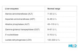 Image result for Liver Function Test
