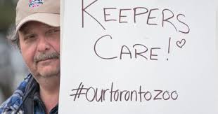 Why bother re-opening Toronto Zoo?