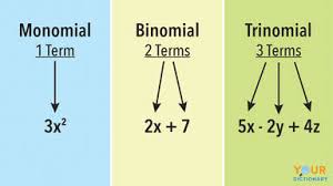 Grouping means factoring out the common stuff found in all the given terms. Examples Of Monomials And Polynomials