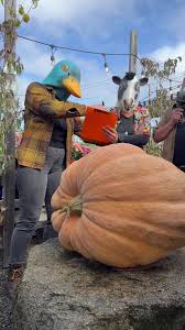 Image result for fat ass pumpkin