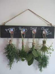 Imgur Post Imgur Herb Drying Racks Drying Herbs Growing Herbs