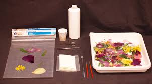 Get a sheet of any writing material, preferably that thin cardboard, but coloured paper or thick cardboard will do. How To Press Flowers Create Handmade Greeting Cards Longwood Gardens