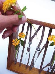 Lantana Flowers In Glass Tubes Flower Arrangements Flowers Beautiful Flower Arrangements
