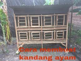 Ada 6 pintu di sekat sekat, setiap pintu dilengkapi dengan ekor. Bikin Kandang Ayam Sederhana 8 Kotak