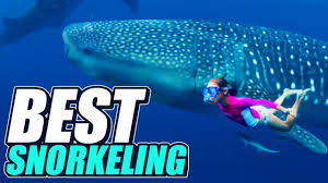 Grab a mask and dive in to the best snorkeling in the world. 10 Best Snorkeling Destinations In The World Youtube