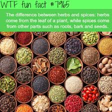 The Difference Between Herbs And Spices Wtf Fun Diy Spices Spice Blends Masala Spice