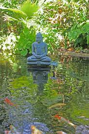 Buddah Statue In Koi Pond Koi Pond Pond Water Features Zen Garden