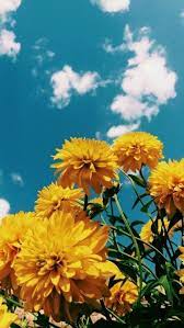 Comfortable Clothing Nature Iphone Wallpaper Nature Photography Backgrounds Phone Wallpapers