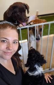 Contact me today to get a free website build!!!