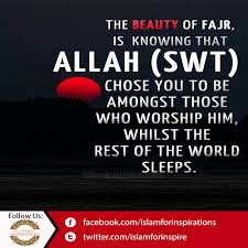 Pin On Islamic Quotes
