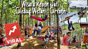 We did not find results for: Wisata Kebon Jati Ciledug Wetan Cirebon Youtube