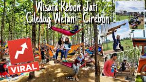 Suaranya yang nyaring itu, terdengar ketika ia memanggil pembatuku untuk membuka pintu garasi. Wisata Kebon Jati Ciledug Wetan Cirebon Youtube