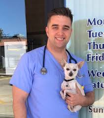 Compare your options and call now. Elk Grove Pet Vet Elk Grove Village Il 60007 Veterinarians Elk Grove Pet Clinic 847 524 8387 Fax 847 524 9942
