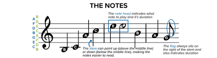 The names of the notes on the lines and spaces follow a set order that you can remember easily with a rhyme. How To Read Sheet Music Step By Step Instructions Musicnotes Now