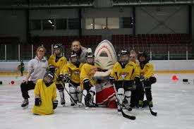 Sie sind vor allem für die freizeitspieler bestimmt, die qualität zum vernünftigen preis suchen. Girls Laufschule Kolner Eishockey Club Die Haie E V