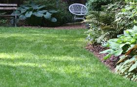 Dallisgrass and crabgrass are two common weed grasses in lawns throughout the united states. Tall Fescue Maintenance Calendar Home Garden Information Center