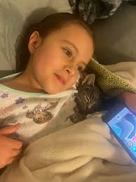 Pueblo's lost and found pets