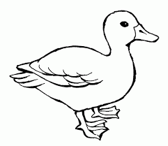 Animal Coloring Pages For Kids Animal Coloring Pages Animal Templates Bird Coloring Pages
