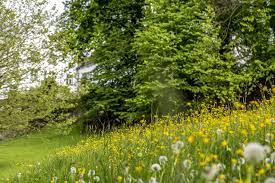 schlosshotel wartegg grune oase am bodensee rorschacherberg bodensee hotel oase