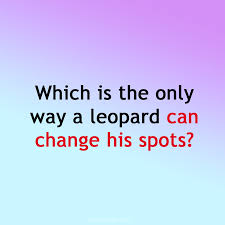 Questions have been categorized so you can pick your favorite category or challenge your friends to the latest trivia. Fun Trivia Questions Quizzes And Personality Tests Fun Trivia Questions Trivia Questions Trivia Quizzes