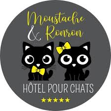 Moustache & Ronron, Hôtel et Boutique pour chats- Pension féline dans le Morbihan