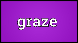 An example of graze is cows eating grass in a field. Graze Meaning Youtube