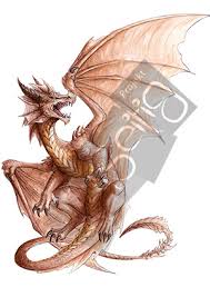 Faszinierende Drachenwelt Das Grosse Zeichen Wissensbuch Zum Thema Drachen Und Drachenzeichnen