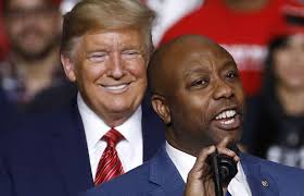 Tim Scott endorses Donald Trump ahead of New Hampshire Republican primary