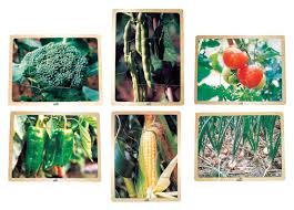 Get hints, track time, print, access previous puzzles and much more. School Specialty Vegetable Puzzle Set School Specialty Marketplace