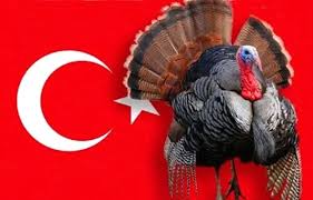 Türkiye için resim sonucu