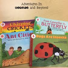 Adventures In Kinder And Beyond Insects What Im Teaching