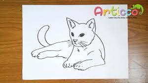 A cat drawing idea if you want to draw a cat standing up. How To Draw A Realistic Cat Step By Step Youtube