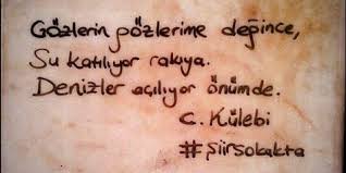 Gozlerin Gozlerime Degince Su Katiliyor Rakiya Denizler Aciliyor Onumde Cahit Kulebi Siirsokakta Siir