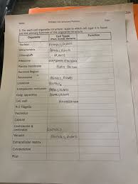 We did not find results for: 2030 Date Name Pcb3063 Cell Structure Function 3 Chegg Com