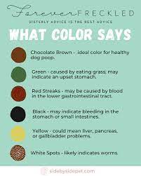 Healthy Dog Poop Chart What Your Pet S Poop Shows Forever Freckled