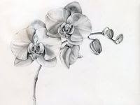 Erleben sie die orchideenblüte in der biosphäre von feb. Die 56 Besten Ideen Zu Tattoo Orchidee Tattoo Orchidee Orchideen Tattoo Ideen