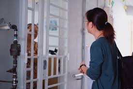 Facebook gives people the power to share and makes the. Buy A Meal For Needy Elderly Living In Rental Estates Ray Of Hope