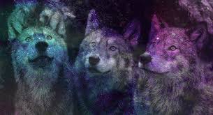 Descubre lo que galaxy lobo (galaxy_lobo) encontró en pinterest, la colección de ideas más grande del mundo. Galaxia Tumblr Buscar Con Google Wolf Wallpaper Galaxy Wolf Wolf Spirit Animal