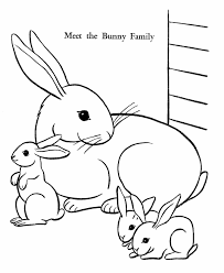 Dogs love to chew on bones, run and fetch balls, and find more time to play! Colouring Pictures Of Rabbits Coloring Home