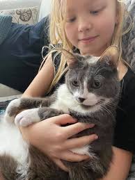 My cat buddy is missing again, he ver misses his breakfast, lunch and  supper he is my person helps with my anxiety, I live